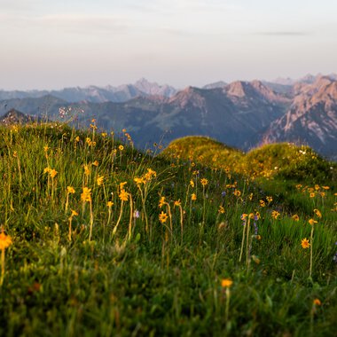 Bergseen im Kleinwalsertal