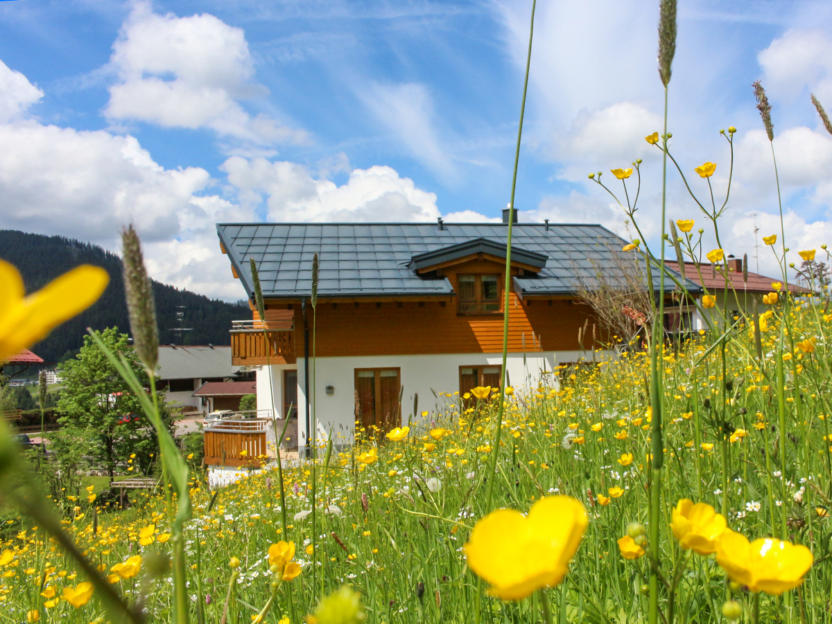 Ferienhaus mit Blumenwiese